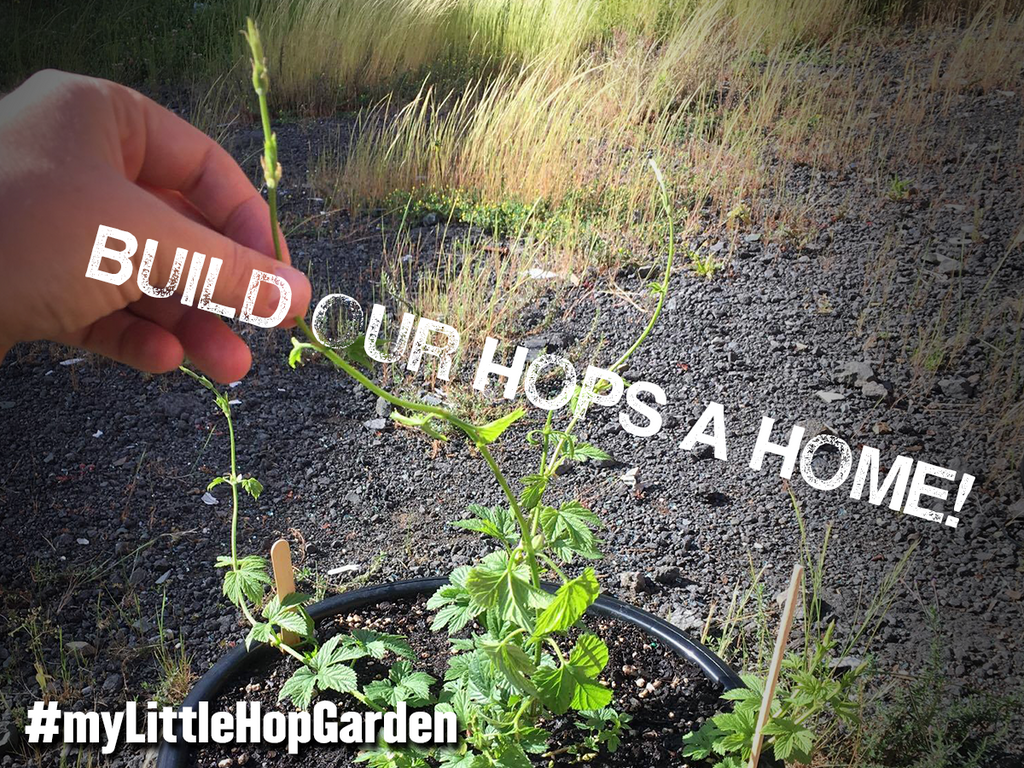 Build Our Hops a Home!