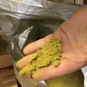 New Hop Product - Lupulin Powder